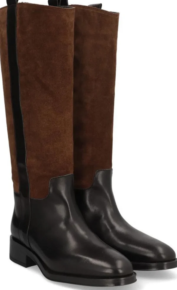 Alpe COUTURE Hot