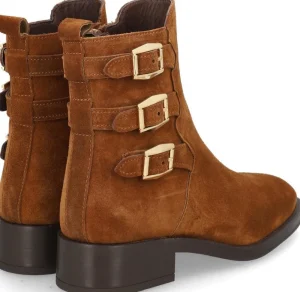 Alpe COUTURE Flash Sale