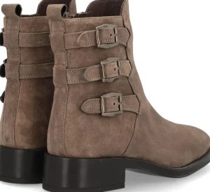 Alpe COUTURE Flash Sale